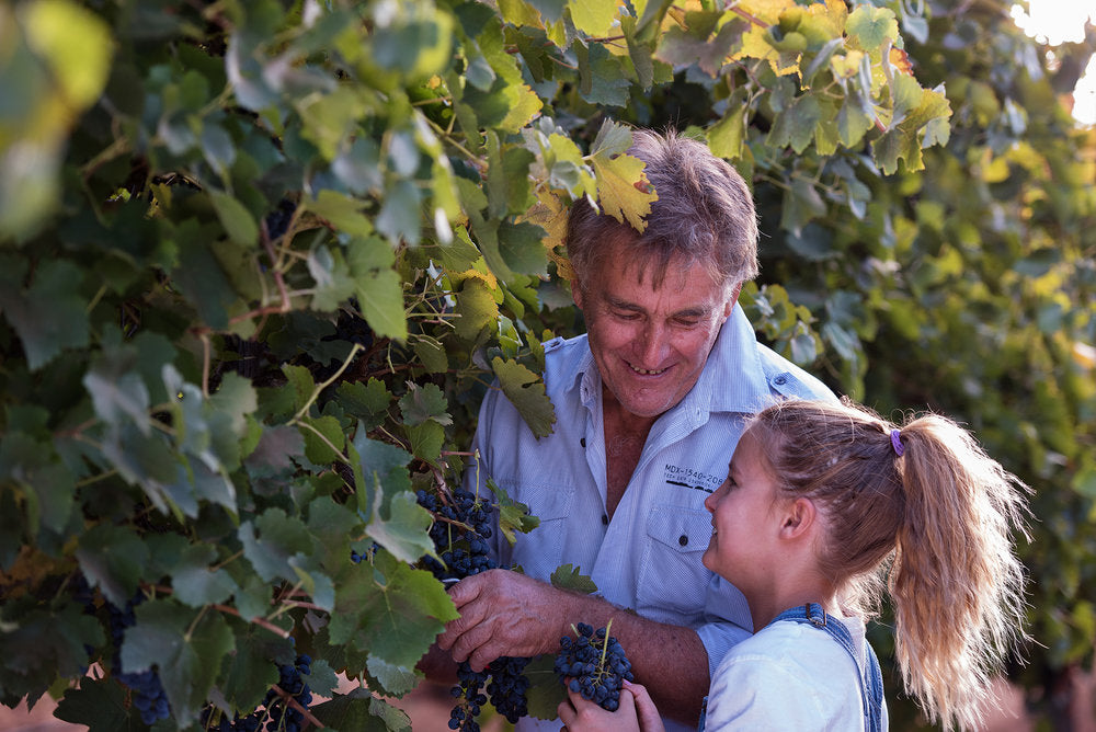 Bassham Wines